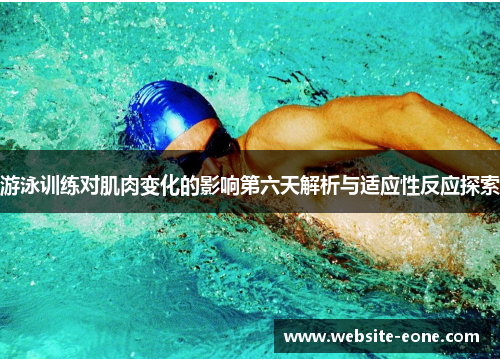 游泳训练对肌肉变化的影响第六天解析与适应性反应探索