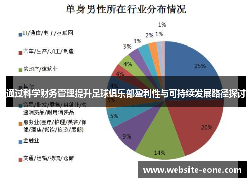 通过科学财务管理提升足球俱乐部盈利性与可持续发展路径探讨
