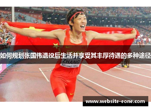 如何规划张国伟退役后生活并享受其丰厚待遇的多种途径